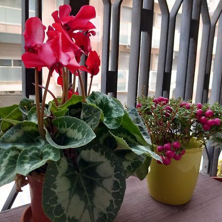 La Valigia Sul Letto Bed & Breakfast คาตาเนีย ภายนอก รูปภาพ