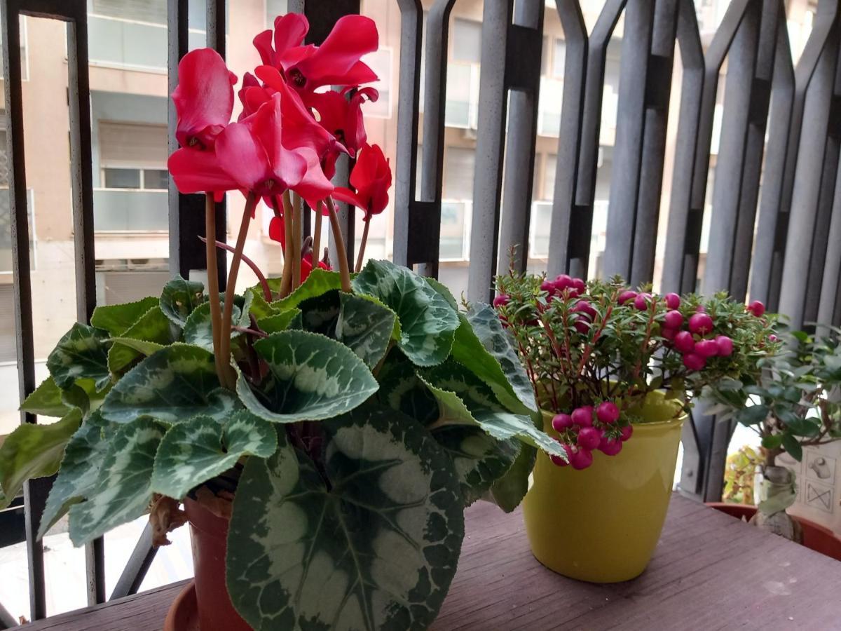 La Valigia Sul Letto Bed & Breakfast คาตาเนีย ภายนอก รูปภาพ